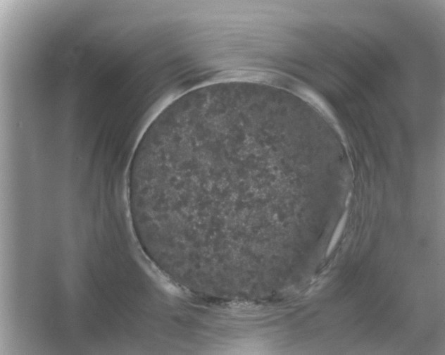 X0000066940907200604071909