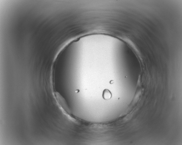 X0000066940910200604071909