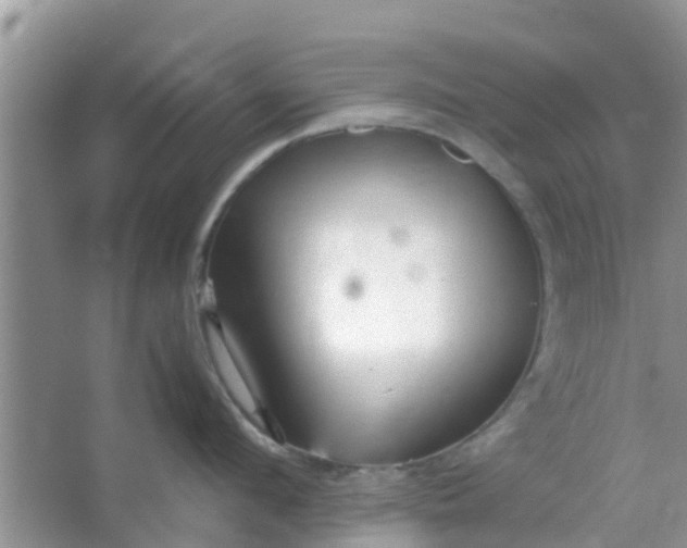 X0000066940912200604071909