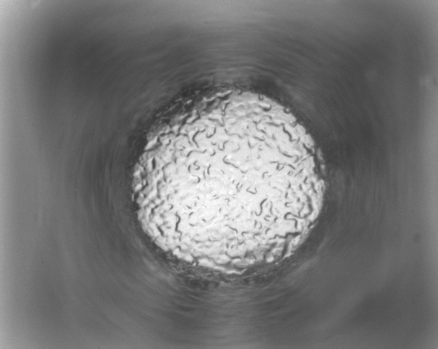 X0000066940913200604071908