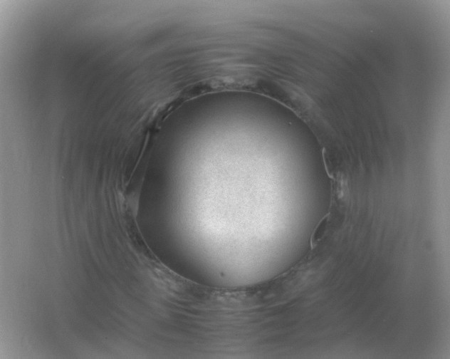 X0000066940915200604071908