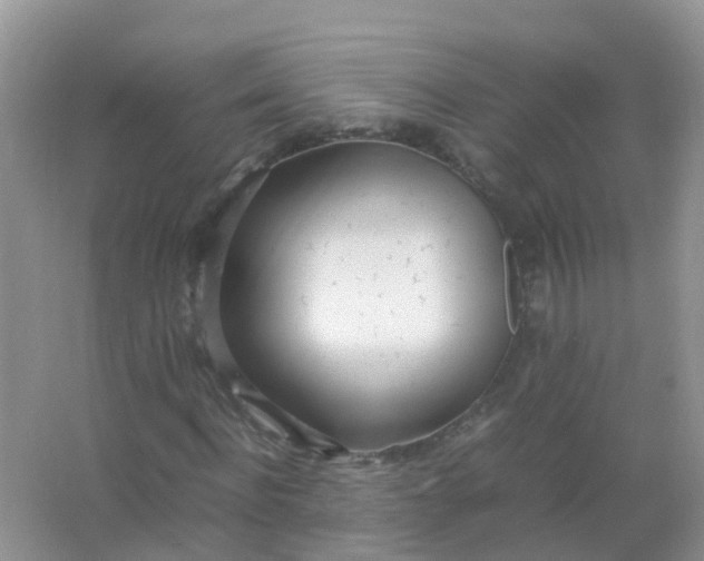 X0000066940916200604071908