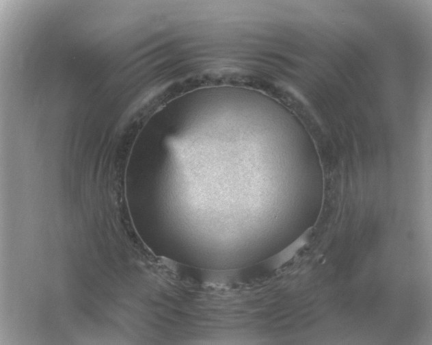 X0000066940919200604071908