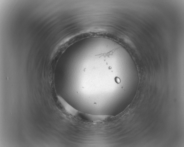 X0000066940920200604071908