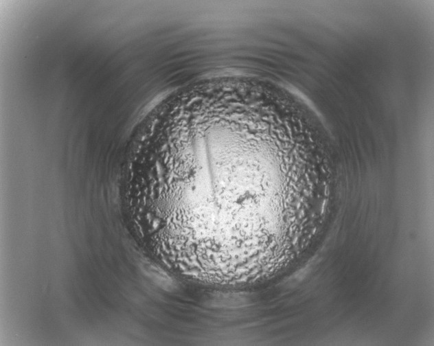 X0000066940921200604071908