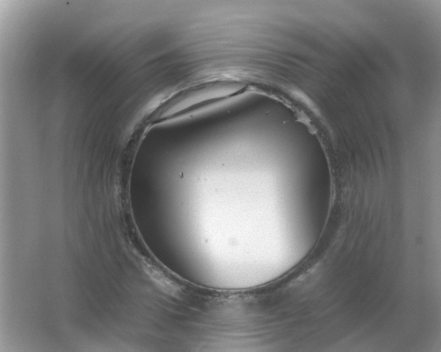 X0000066940922200604071908