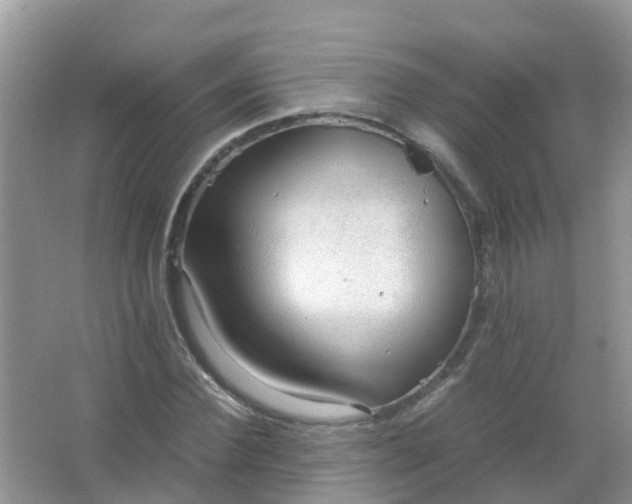 X0000066940924200604071908