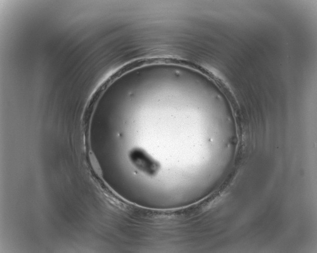 X0000066940925200604071908