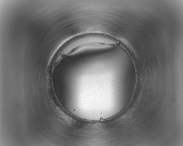 X0000066940926200604071908