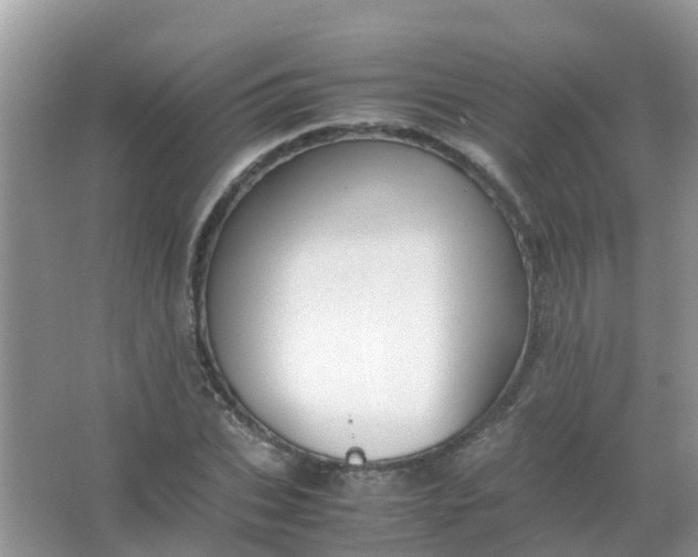 X0000066940927200604071908