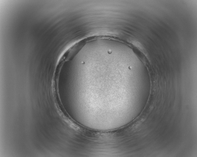 X0000066940928200604071908