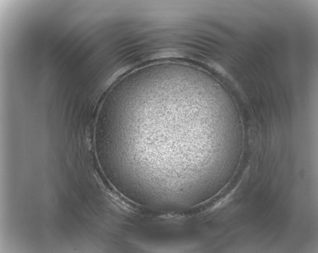 X0000066940929200604071908