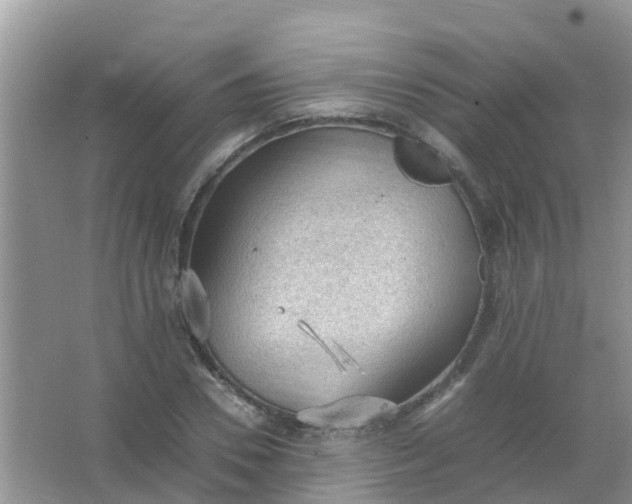 X0000066940930200604071908