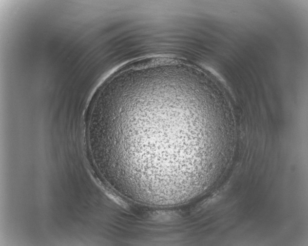 X0000066940933200604071908