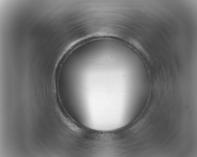 X0000066940934200604071908