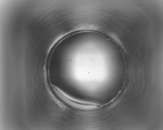 X0000066940936200604071908