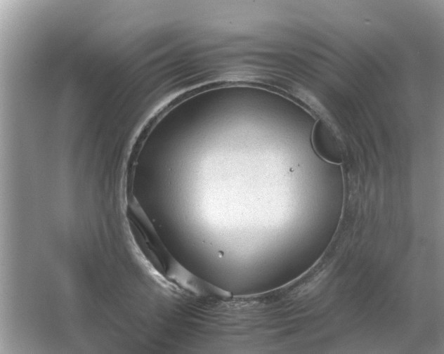 X0000066940939200604071908