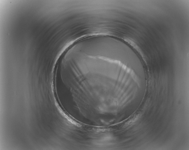 X0000066940941200604071909