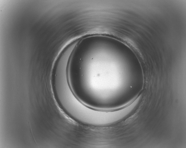 X0000066940942200604071909