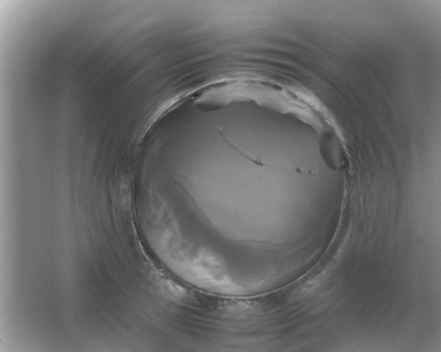 X0000066940945200604071909