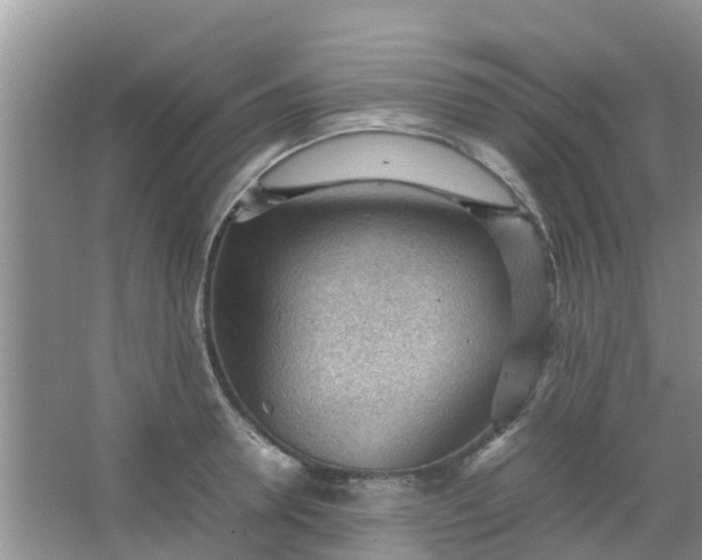 X0000066940946200604071909