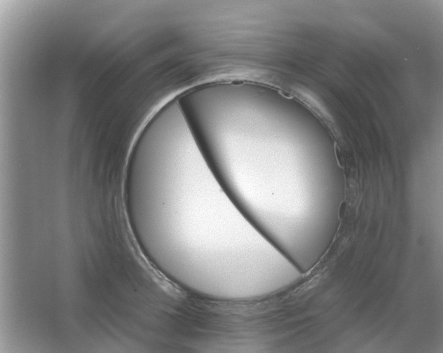 X0000066940948200604071909