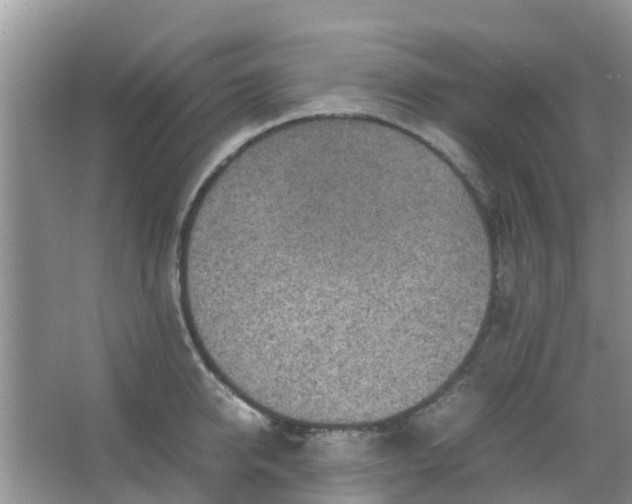 X0000066940950200604071909