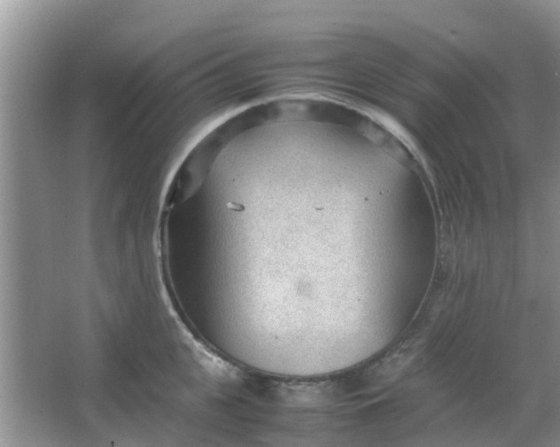 X0000066940951200604071909