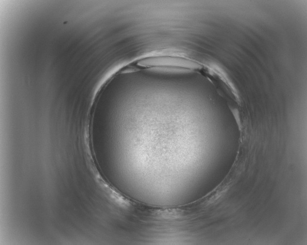 X0000066940952200604071909