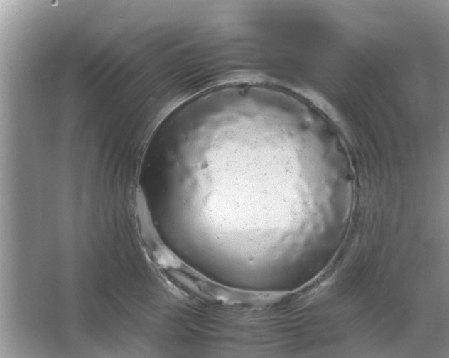 X0000066940953200604071909