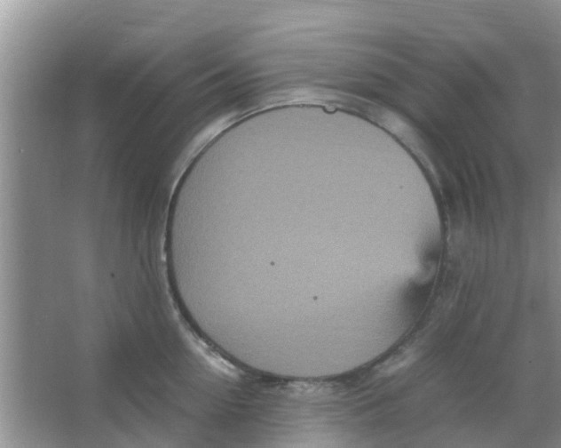 X0000066940954200604071909