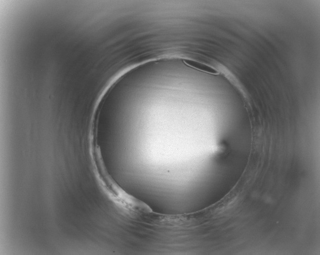 X0000066940955200604071909