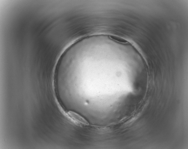 X0000066940957200604071909