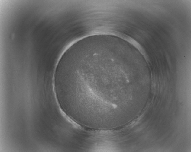 X0000066940958200604071909