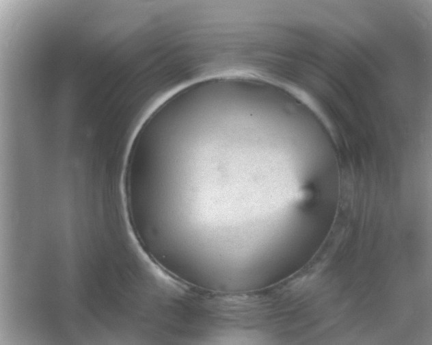 X0000066940959200604071909