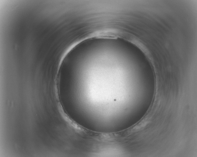 X0000066940960200604071909