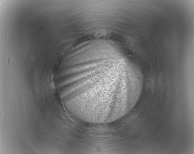 X0000066940962200604071908