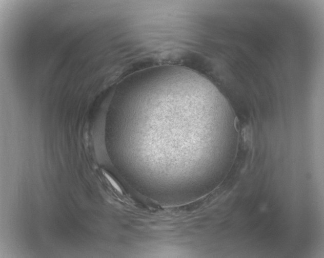 X0000066940963200604071908