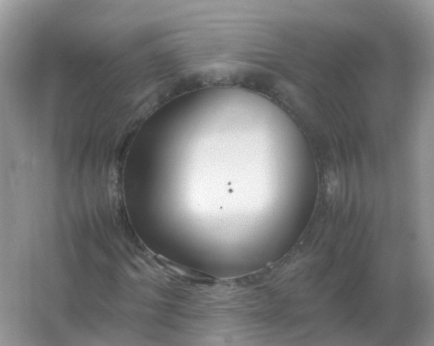 X0000066940964200604071908