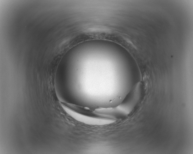 X0000066940965200604071908