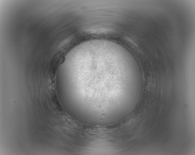 X0000066940966200604071908