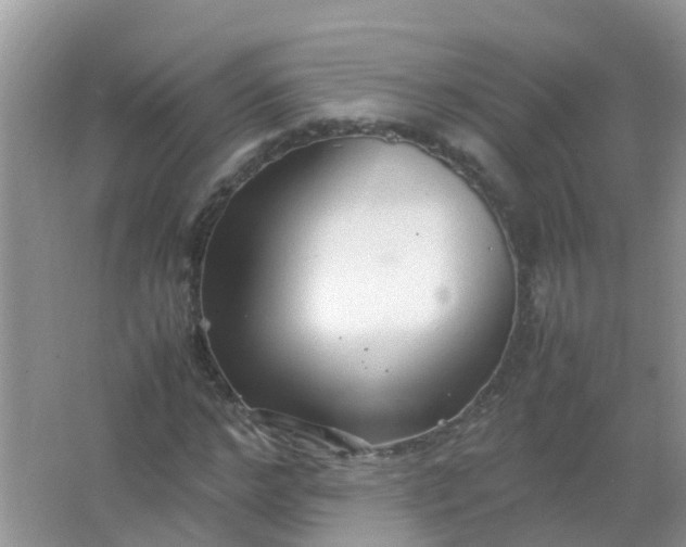 X0000066940968200604071908