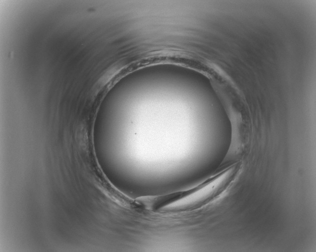 X0000066940969200604071908