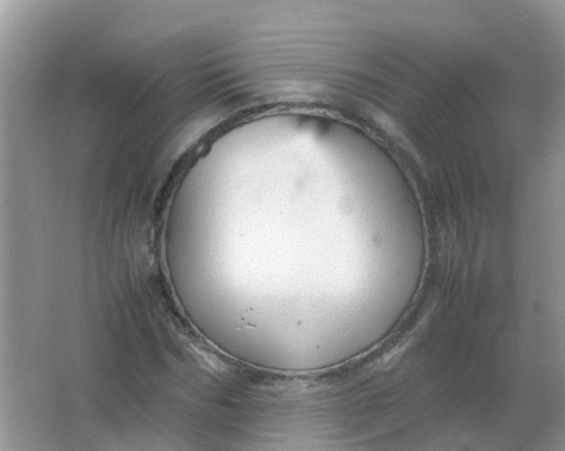 X0000066940970200604071908