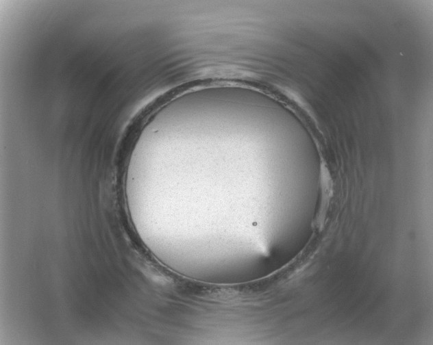 X0000066940971200604071908