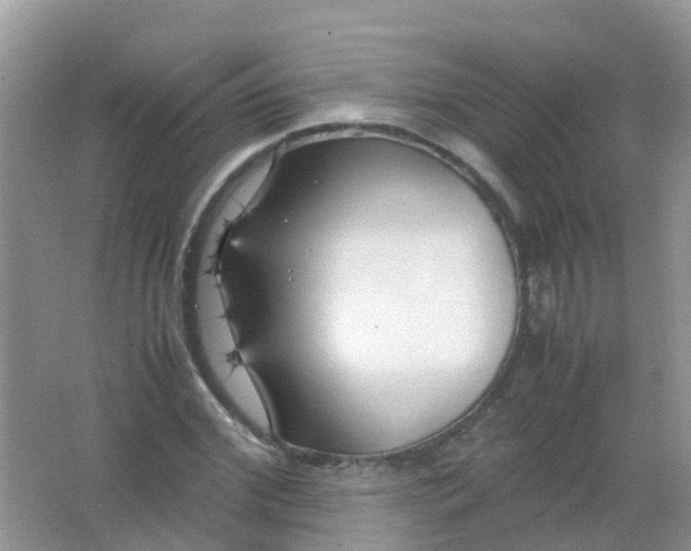 X0000066940972200604071908