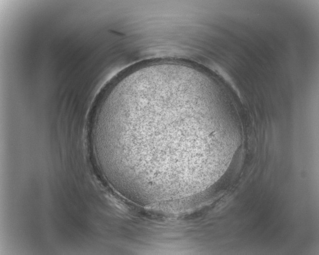 X0000066940975200604071908