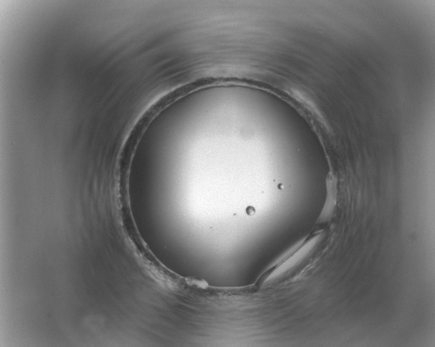 X0000066940976200604071908