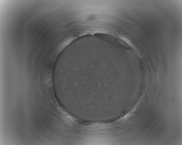 X0000066940977200604071908