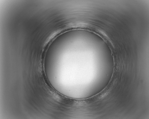 X0000066940978200604071908